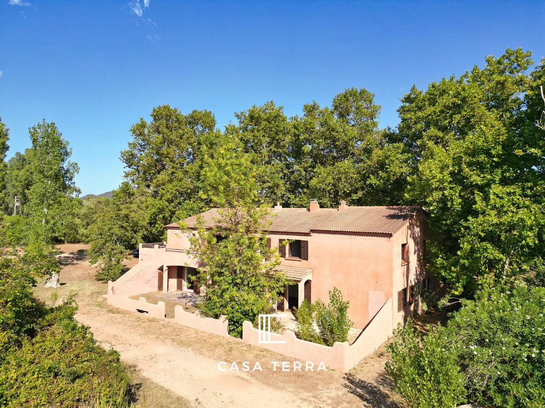 Estate in San-Gavino-di-Carbini, Corsica, France 2 - 16471581