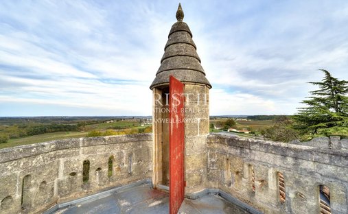 Castle for Sale in Saint-Émilion, Nouvelle-Aquitaine, France