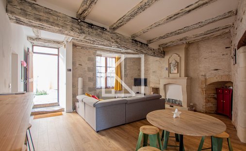 Beautiful 19th C. Chateau On The Banks Of The Loire River, 25 Minutes From Angers.