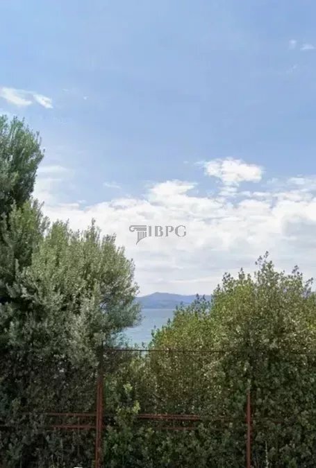 Land in Eretria, Thessaly and Central Greece, Greece 1 - 16766998
