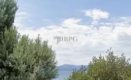 Land in Eretria, Thessaly and Central Greece, Greece 1