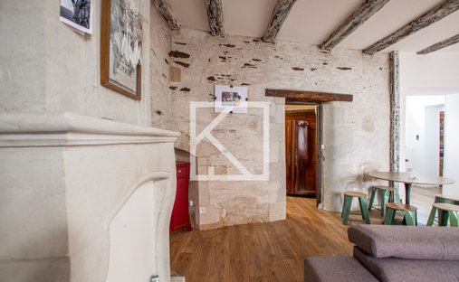 Beautiful 19th C. Chateau On The Banks Of The Loire River, 25 Minutes From Angers.