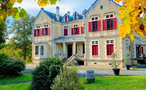Chateau in Bazas, Nouvelle-Aquitaine, France 1