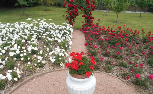 Dordogne: Château 425m2