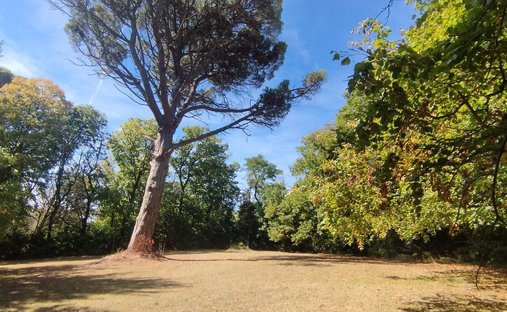 Castle for Sale in Castelnaudary, Occitanie, France - 4