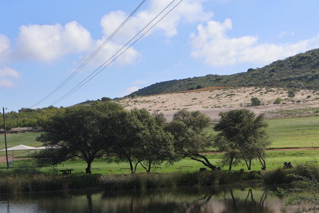 Farm Ranch in Robertson, Western Cape, South Africa 5 - 16767419
