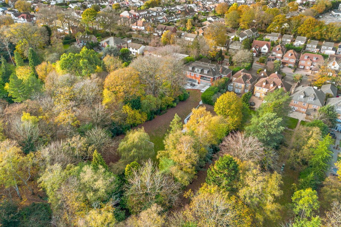 House in Billericay, England, United Kingdom 5 - 16768274