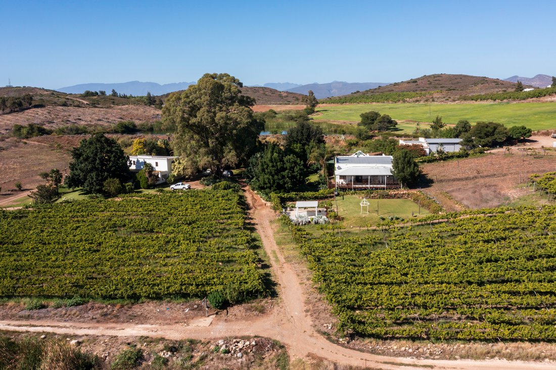 Farm Ranch in Robertson, Western Cape, South Africa 3 - 16767419
