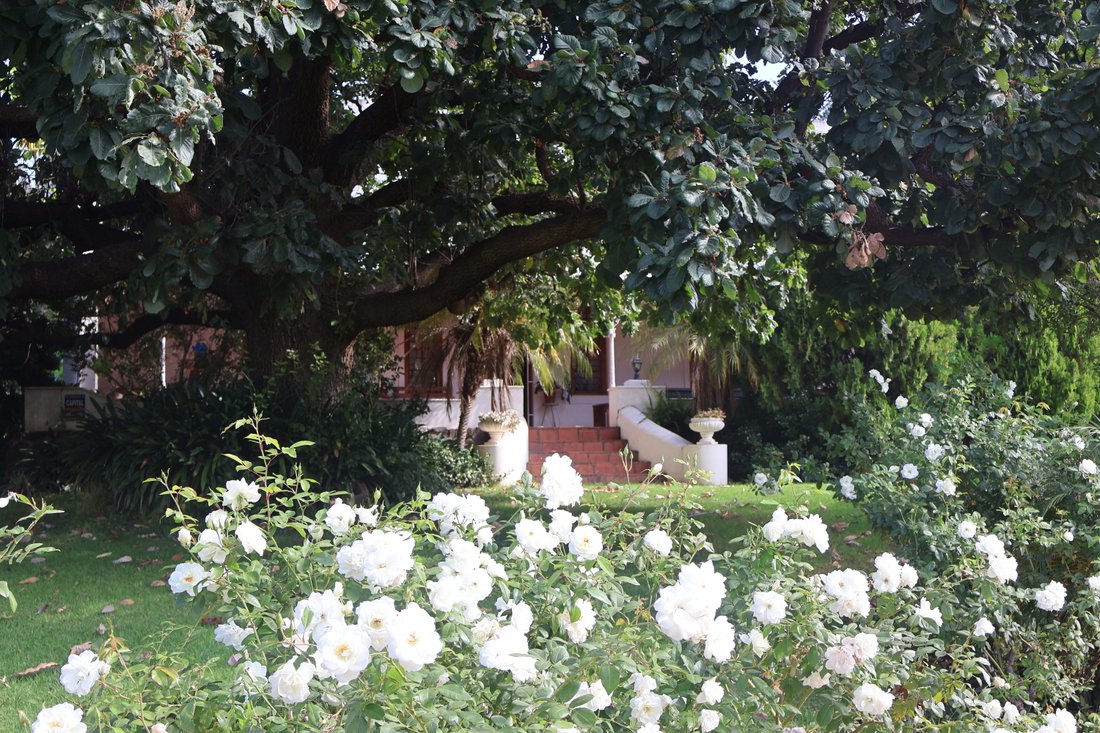 Farm Ranch in Robertson, Western Cape, South Africa 4 - 16767419