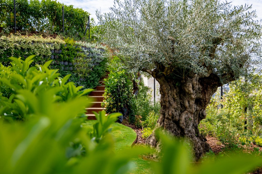 Villa in Marbella, Andalusia, Spain 5 - 16769733