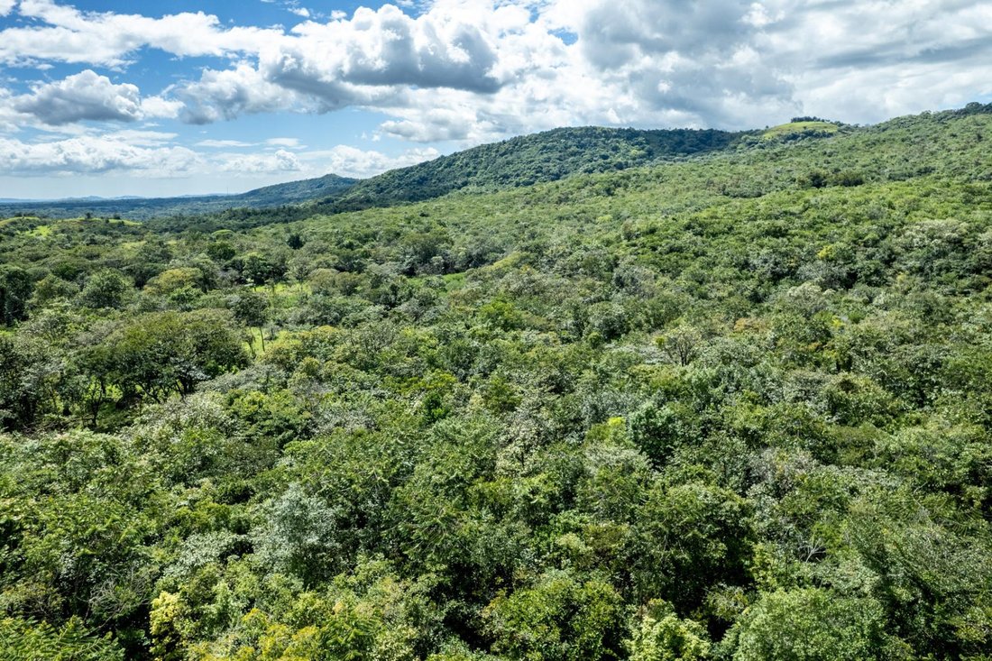 Land in Caldera, Chiriquí Province, Panama 5 - 16769748