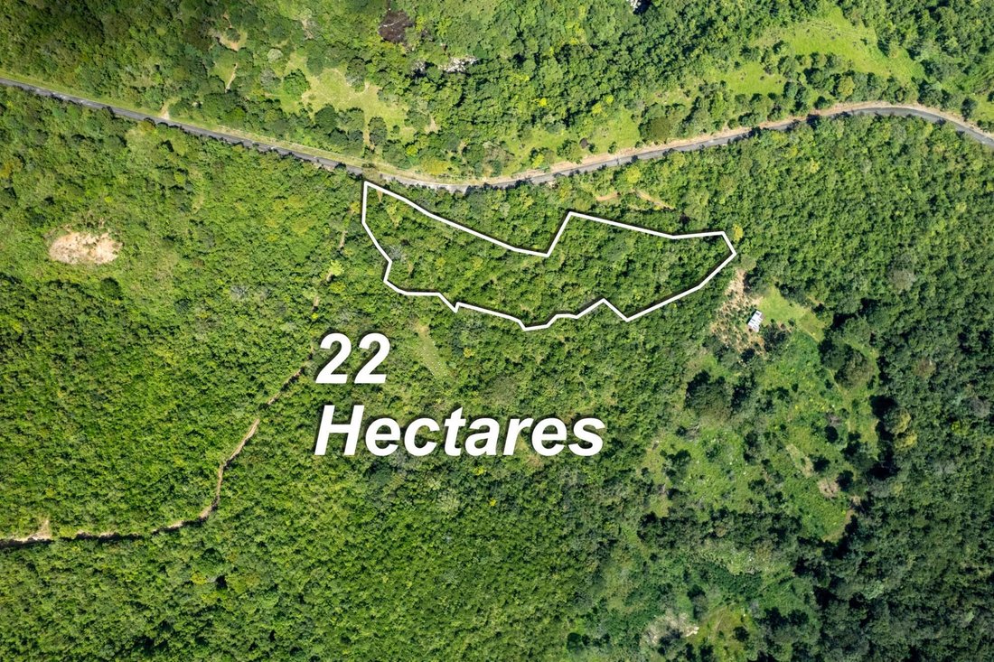 Land in Caldera, Chiriquí Province, Panama 2 - 16769748