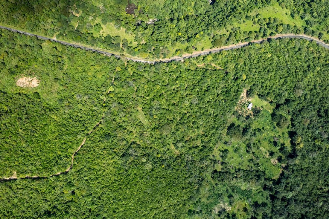 Land in Caldera, Chiriquí Province, Panama 3 - 16769748