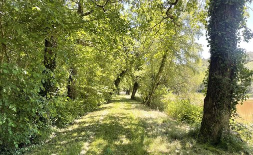 Castle for Sale in Barbezieux-Saint-Hilaire, Nouvelle-Aquitaine, France