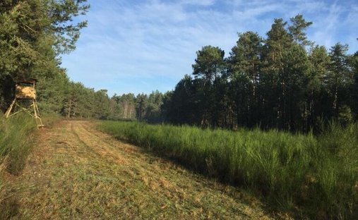 17th Century Castle And Its Outbuildings On Approximately 10 Hectares