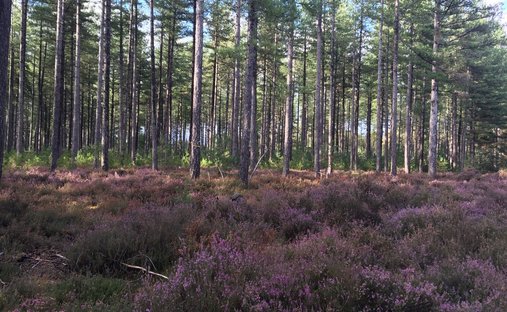 17th Century Castle And Its Outbuildings On Approximately 10 Hectares