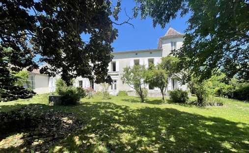 Castle for Sale in Barbezieux-Saint-Hilaire, Nouvelle-Aquitaine, France