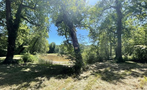 Castle for Sale in Barbezieux-Saint-Hilaire, Nouvelle-Aquitaine, France