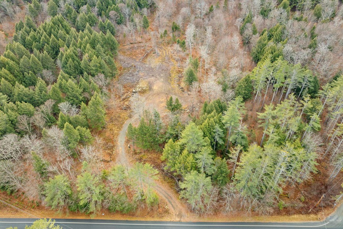 Land in Reading, Vermont, United States 4 - 16770778