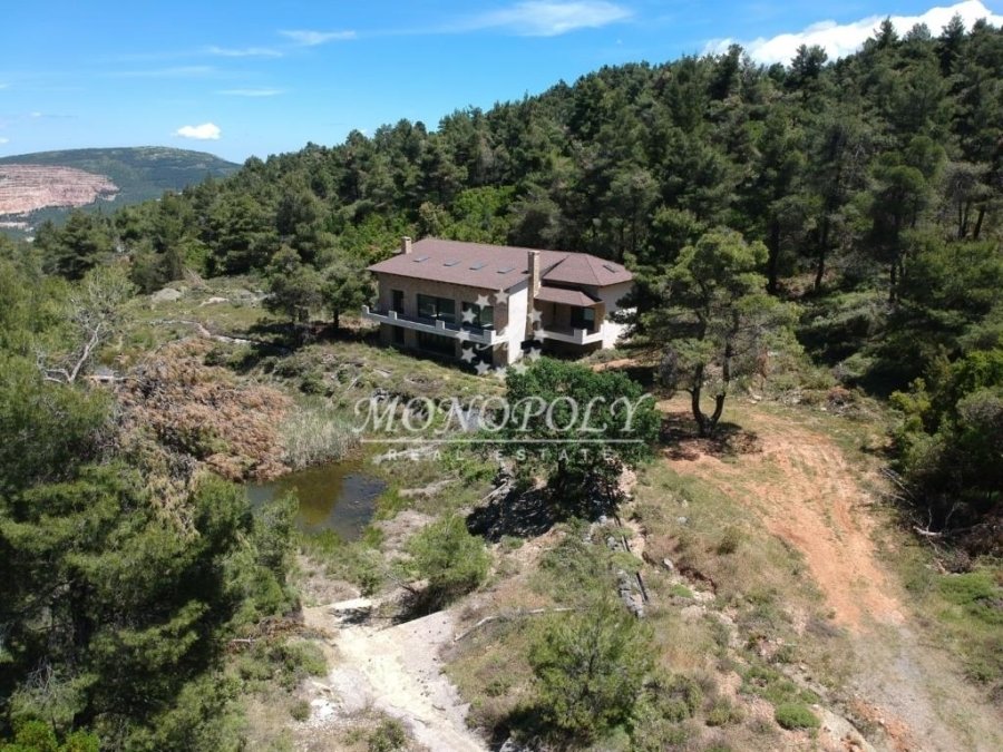 House in Oropos, Attica, Greece 1 - 11463789