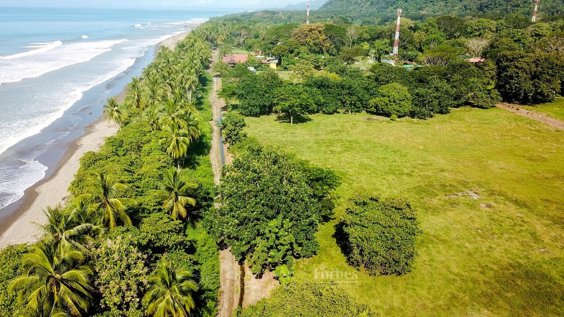 Land in Ballena Bay, Costa Rica 5 - 16773408