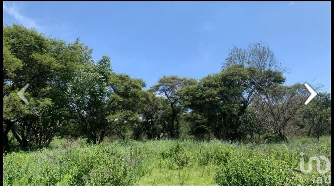 Land in Tapalpa, Jalisco, Mexico 5 - 16771539