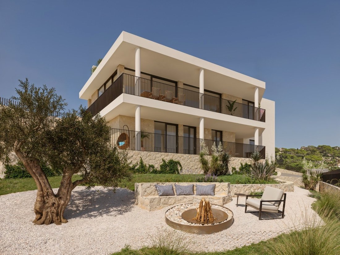 Land in Palma, Balearische Inseln, Spanien 1 - 16772065