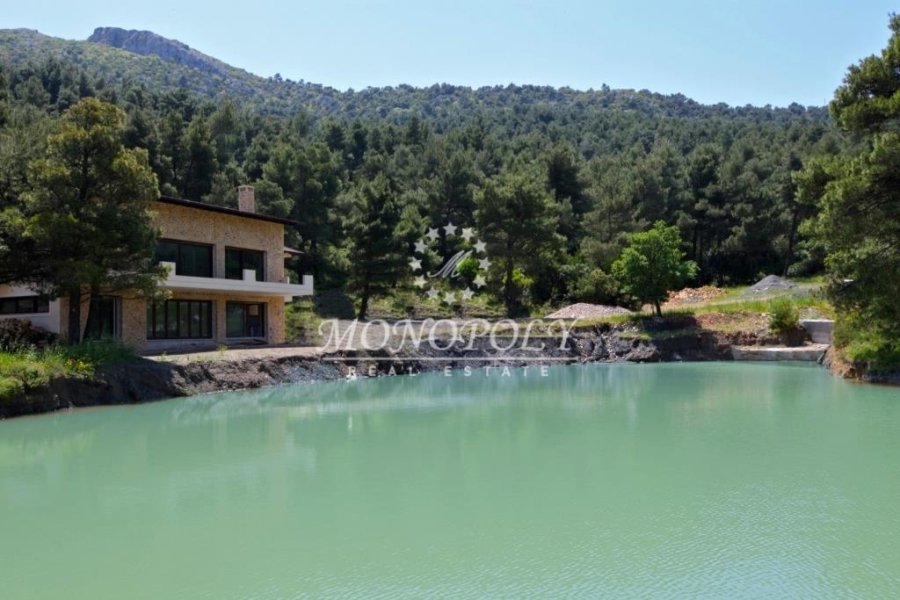 House in Oropos, Attica, Greece 2 - 11463789