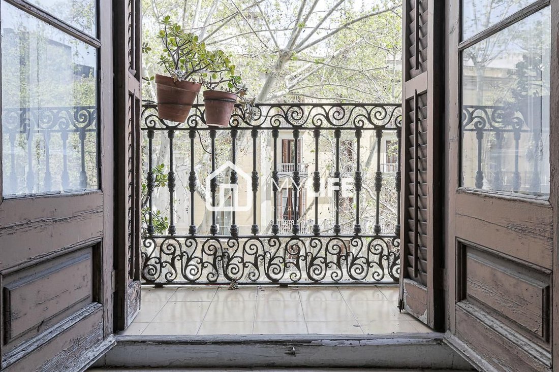 Apartment in Ciutat Vella, Barcelona, Spain 5 - 15489559