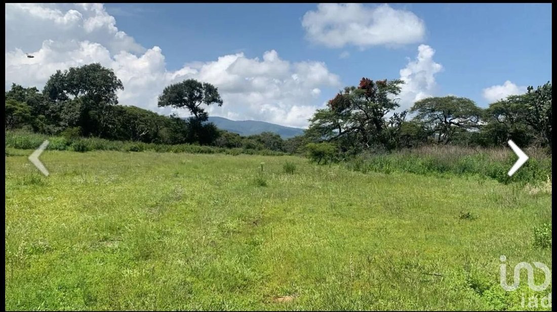 Land in Tapalpa, Jalisco, Mexico 4 - 16771539