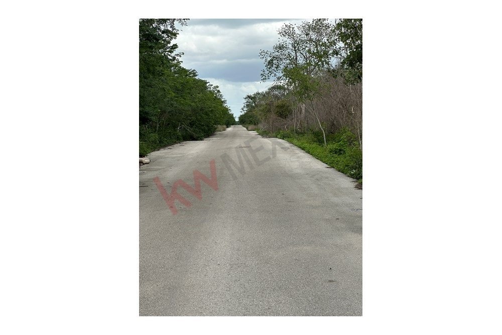 Land in Chalmuch, Yucatan, Mexico 5 - 16773666