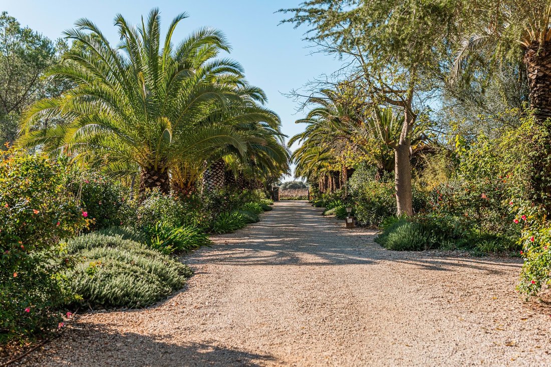 Felanitx, Balearic Islands, Spain 4 - 16770719