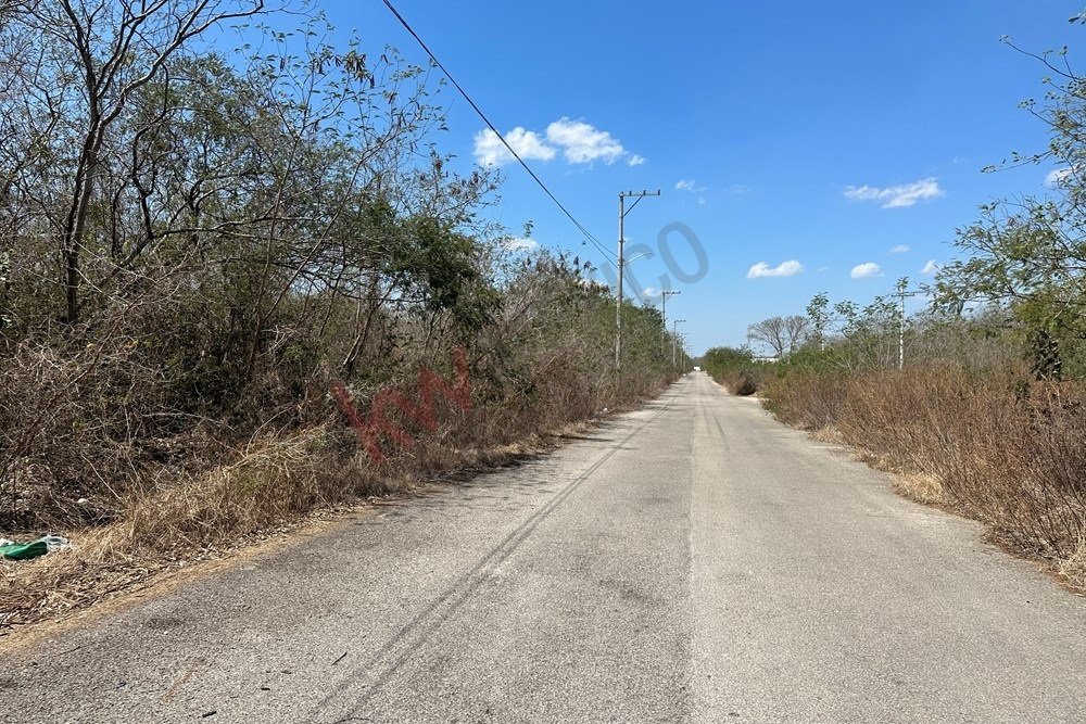 Terrain à Mérida, Yucatán, Mexique 5 - 16773678