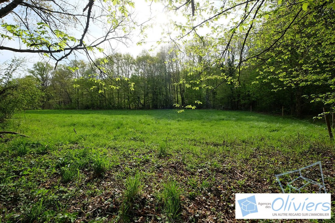 Land in Coteau Sud, Chevreuse, France 4 - 16774064