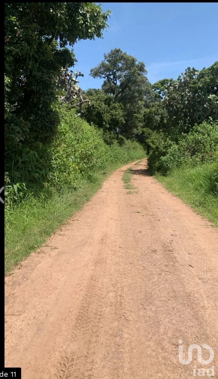 Land in Tapalpa, Jalisco, Mexico 3 - 16771539