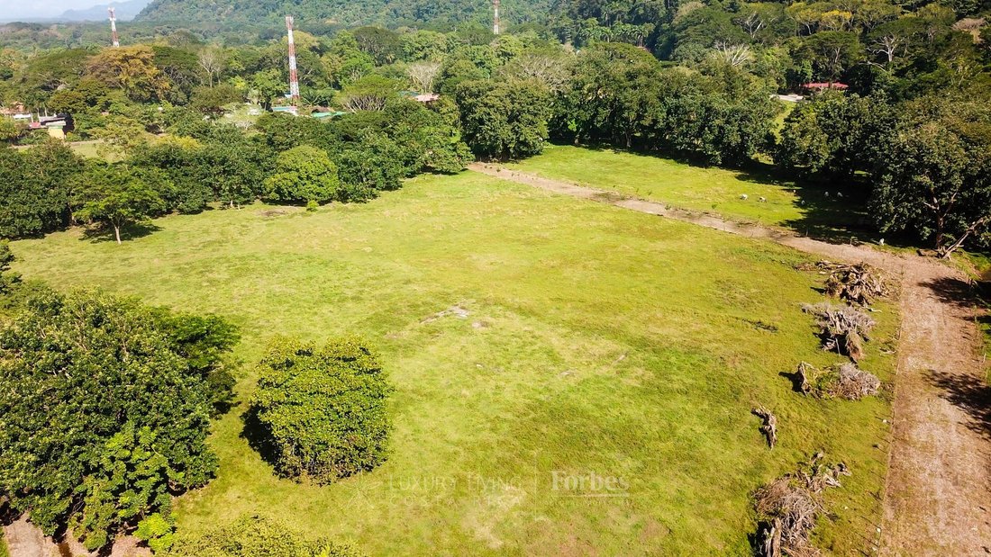 Land in Ballena Bay, Costa Rica 3 - 16773408