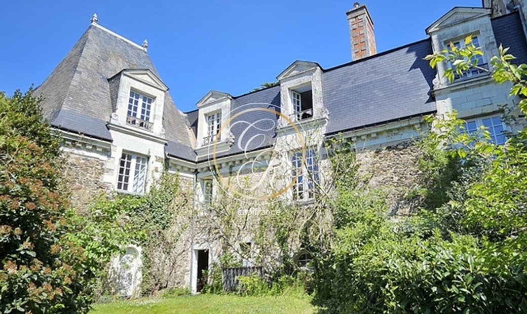 Property For Sale 14 Rooms Savennieres (49)