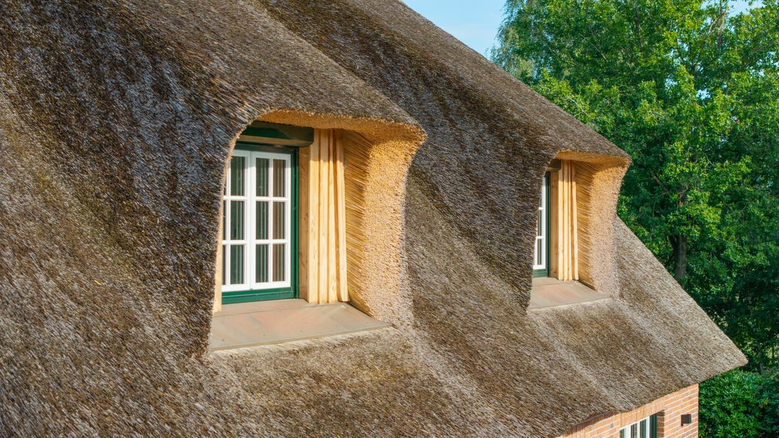 House in Edewecht, Lower Saxony, Germany 4 - 16770892