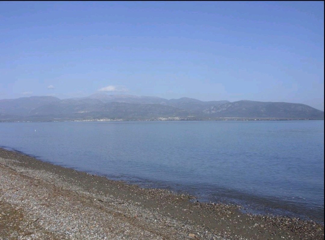 Land in Kamena Vourla, Thessaly and Central Greece, Greece 3 - 16774077