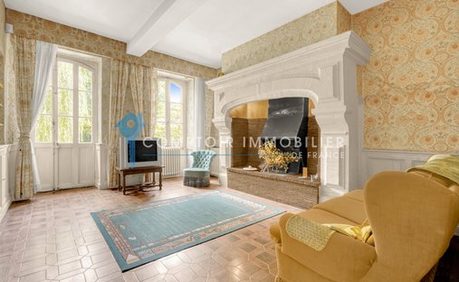 Magnificent Renaissance Style Château With 9ha Land, 2 Gîtes And Pool, 30 Minutes From Toulouse