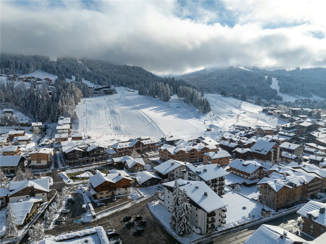 Chalet in Les Gets, Auvergne-Rhône-Alpes, France 4 - 13941899