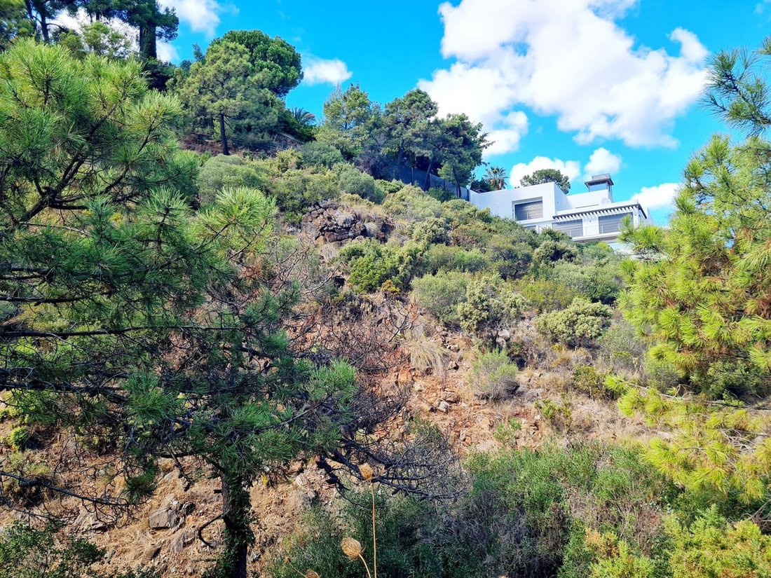 Land in El Madroñal, Benahavis, Spain 5 - 16771482