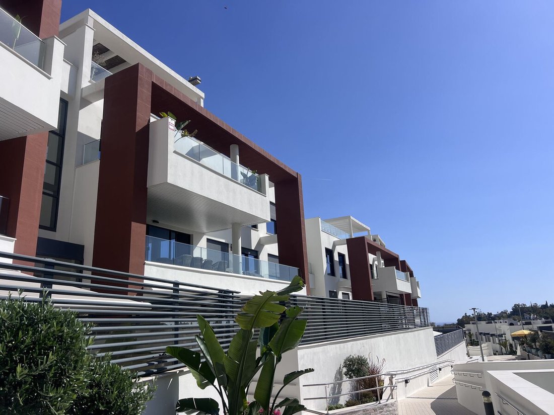 Apartment in Centro, Malaga, Spain 2 - 16771514