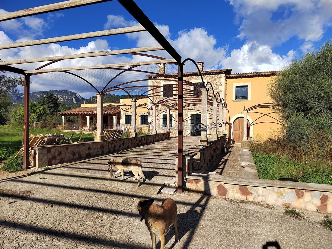 Villa in Palma, Balearic Islands, Spain 1 - 16772310