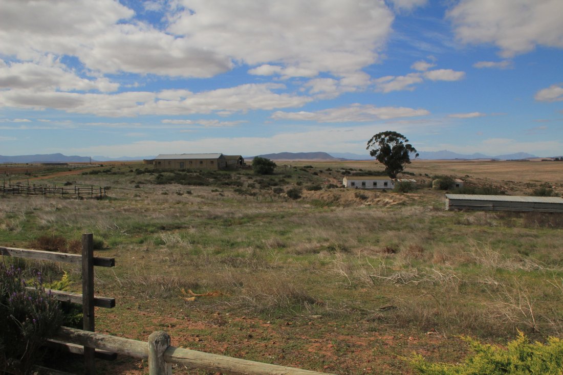 Farm Ranch in Hopefield, Western Cape, South Africa 3 - 16771963