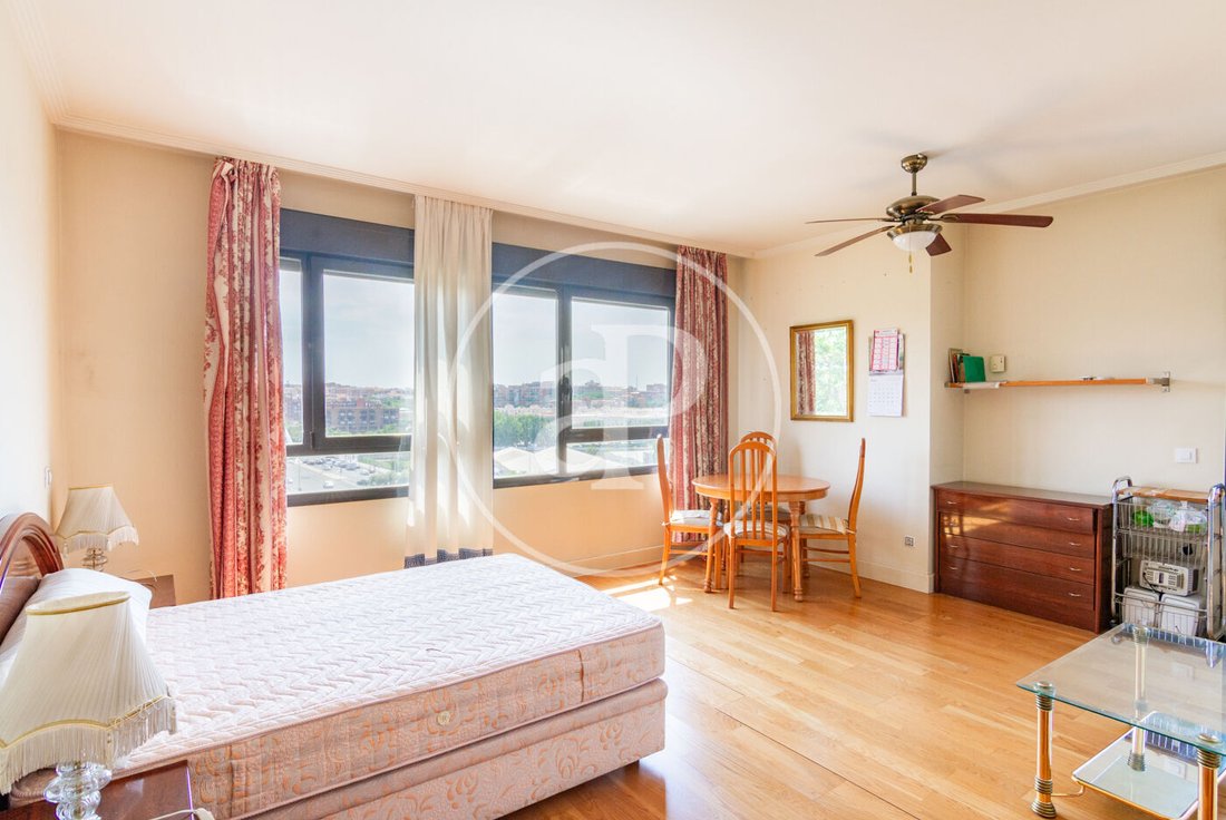 Apartment in Barrio Salamanca, Madrid, Spain 4 - 16774504