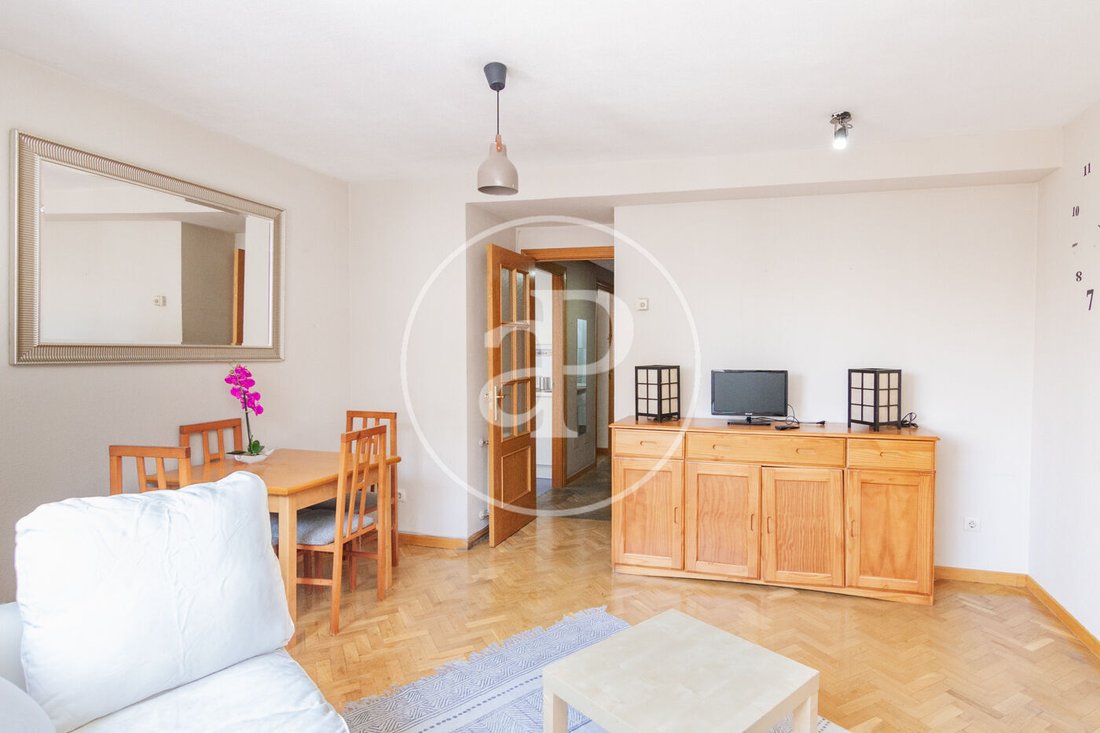 Apartment in Barrio Salamanca, Madrid, Spain 3 - 16774422