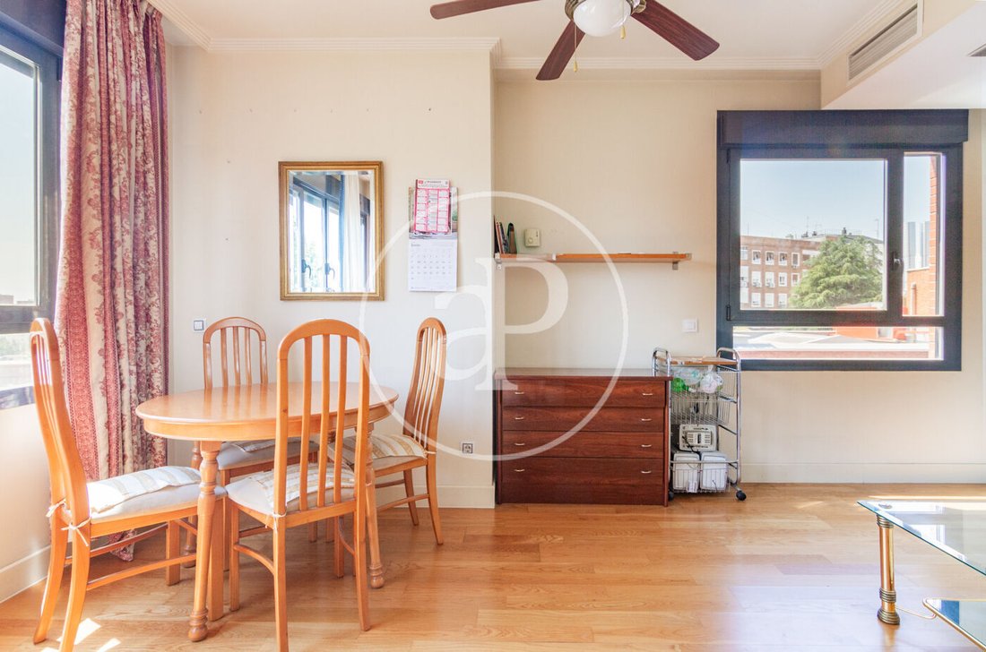 Apartment in Barrio Salamanca, Madrid, Spain 5 - 16774504