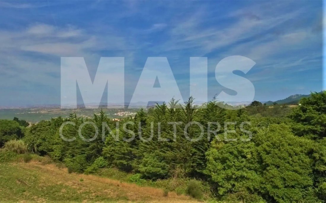 Land in Colares, Lisbon, Portugal 3 - 16774588