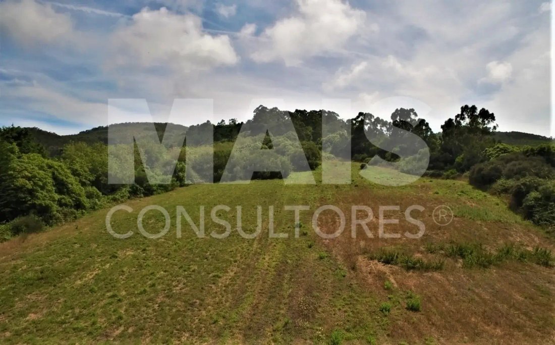 Land in Colares, Lisbon, Portugal 1 - 16774588